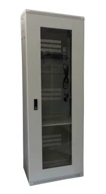 Cold Roll Steel 42u 600*600*2000mm Network Enclosure Fiber Optic Network Cabinet